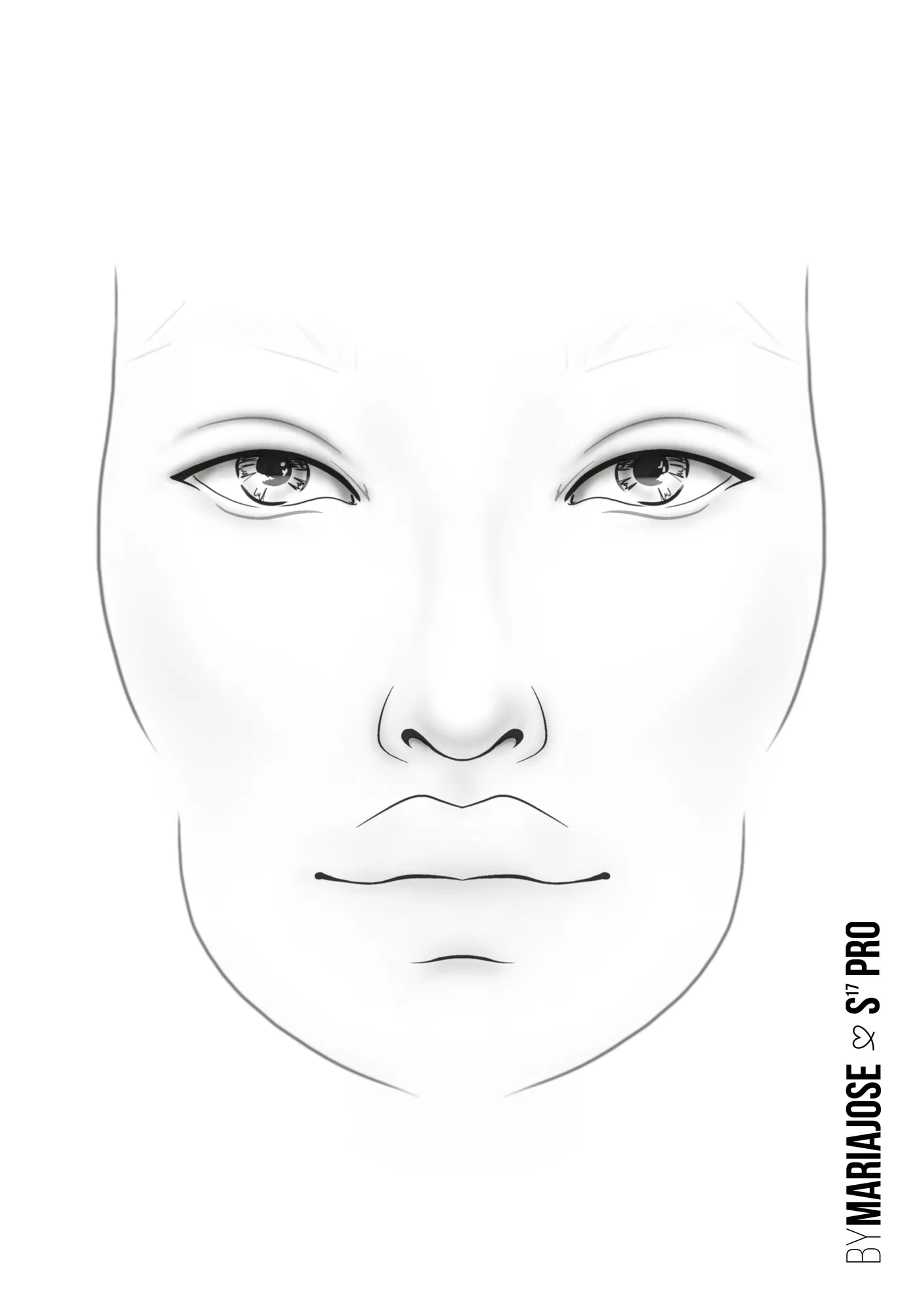 Facechart Pro: la plantilla en blanco
